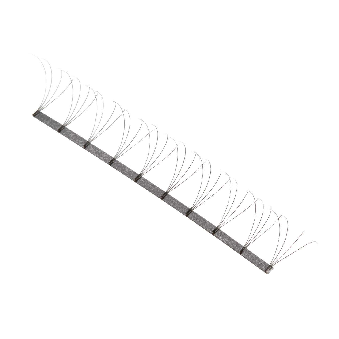 4D Pre Made Fans - 16 Line