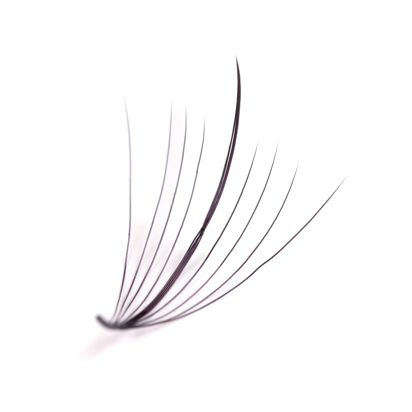 9D WISPY Pro Made Premium Silk Fans (40 Line - 1000 Fans)