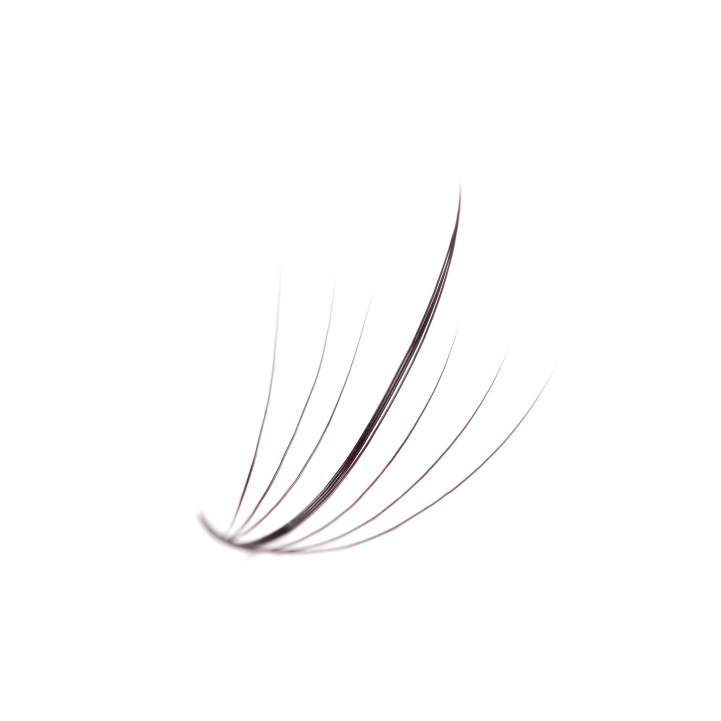 7D WISPY Pro Made Premium Silk Fans (40 Line - 1000 Fans) - Mixed Length